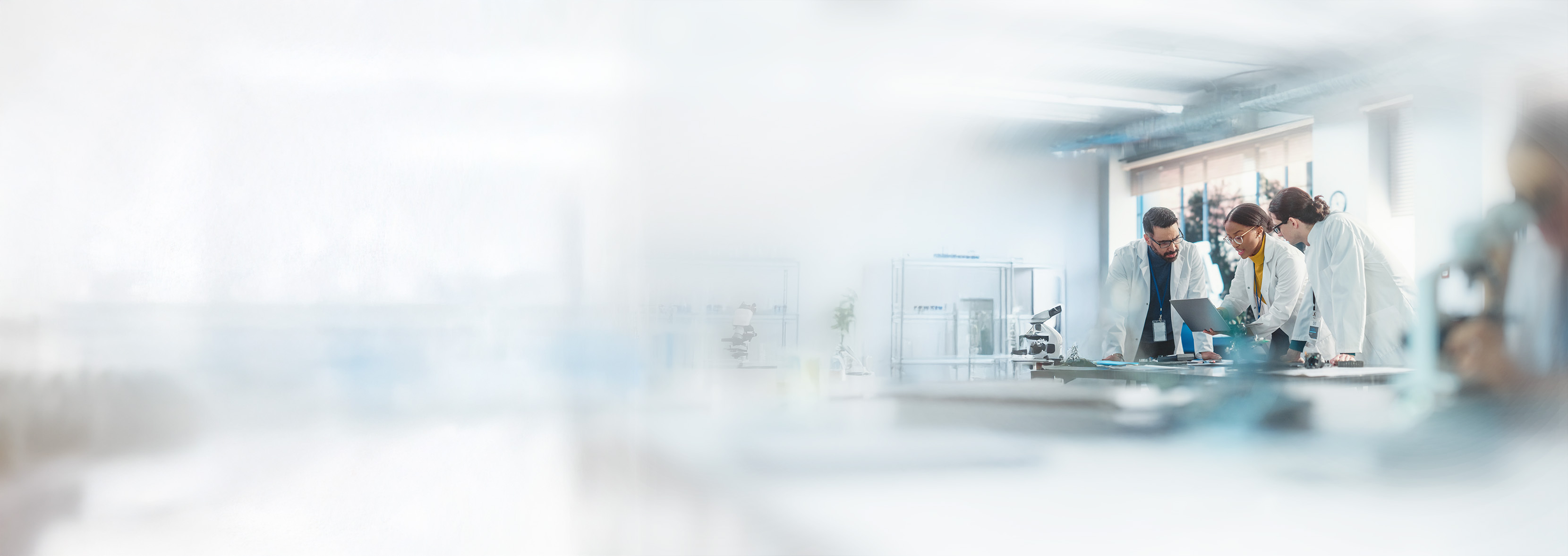 shutterstock_2316798077-optie 0