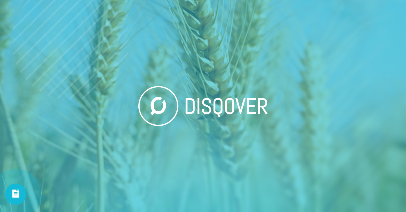 Case Study - Seed Acceleration Disqover