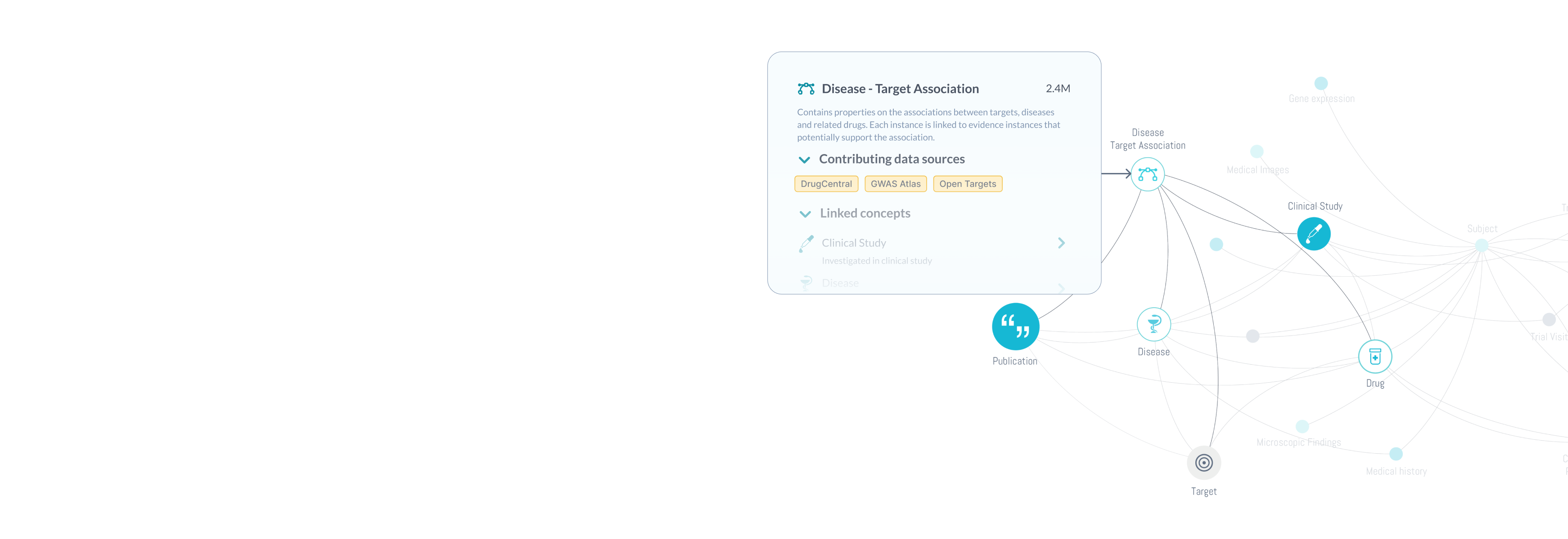 DISQOVER <strong>Foundation</strong>