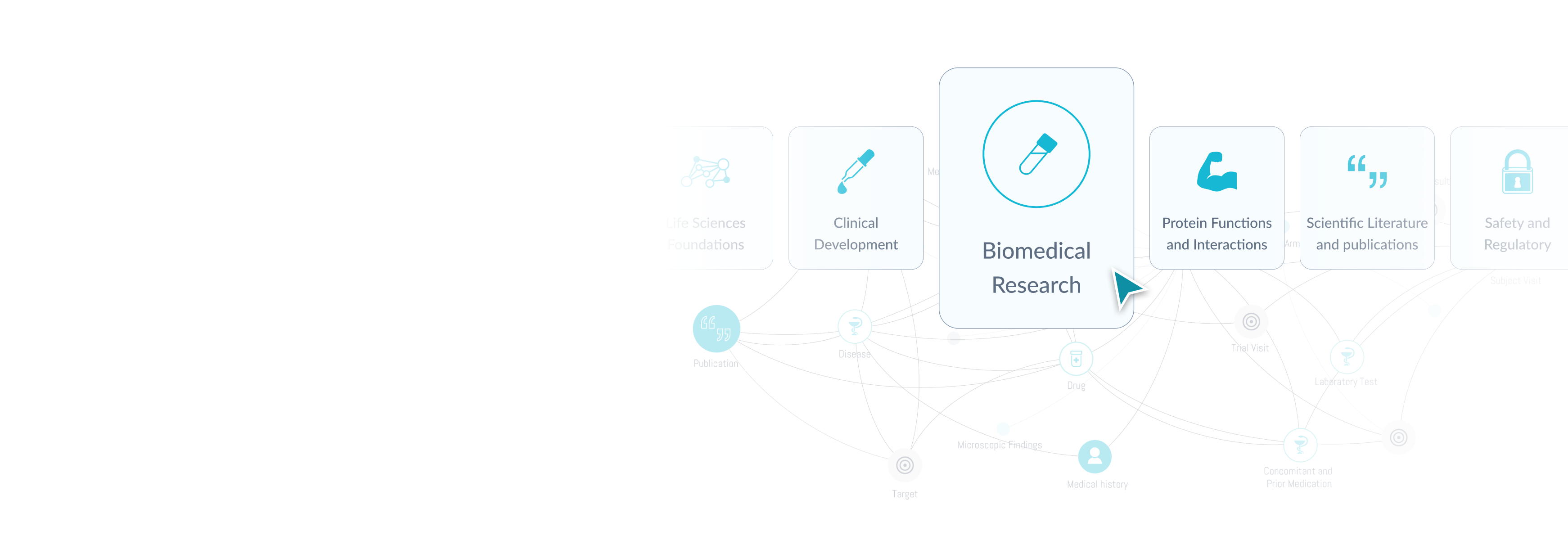 Knowledge <strong>Feeds</strong>