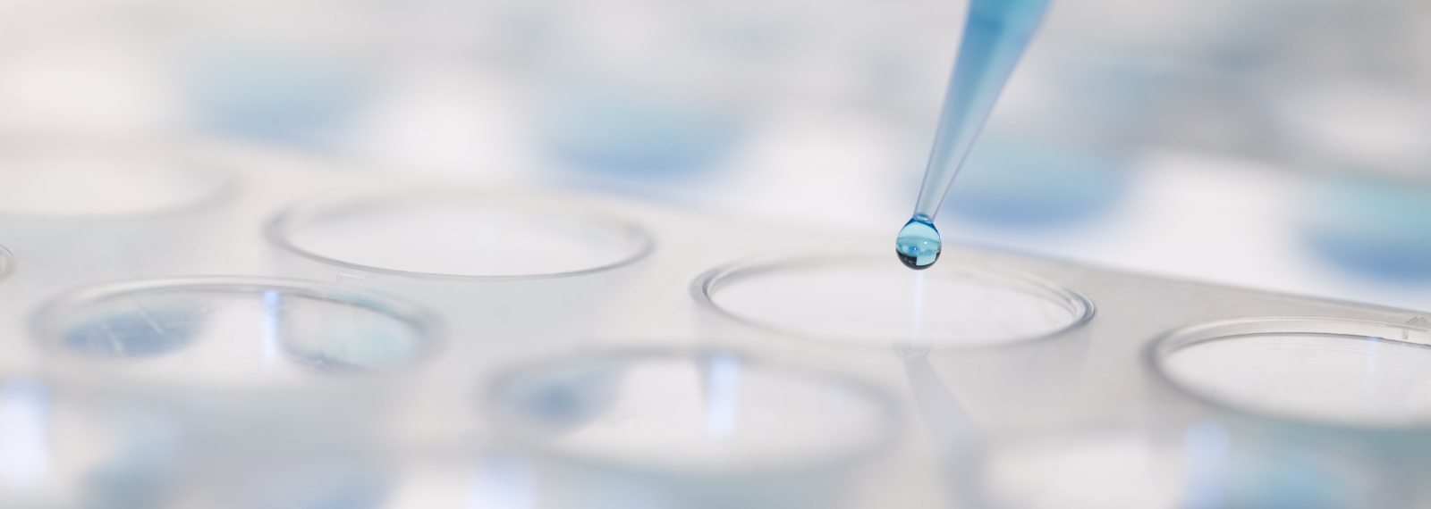 ONTOFORCE glossary (1)