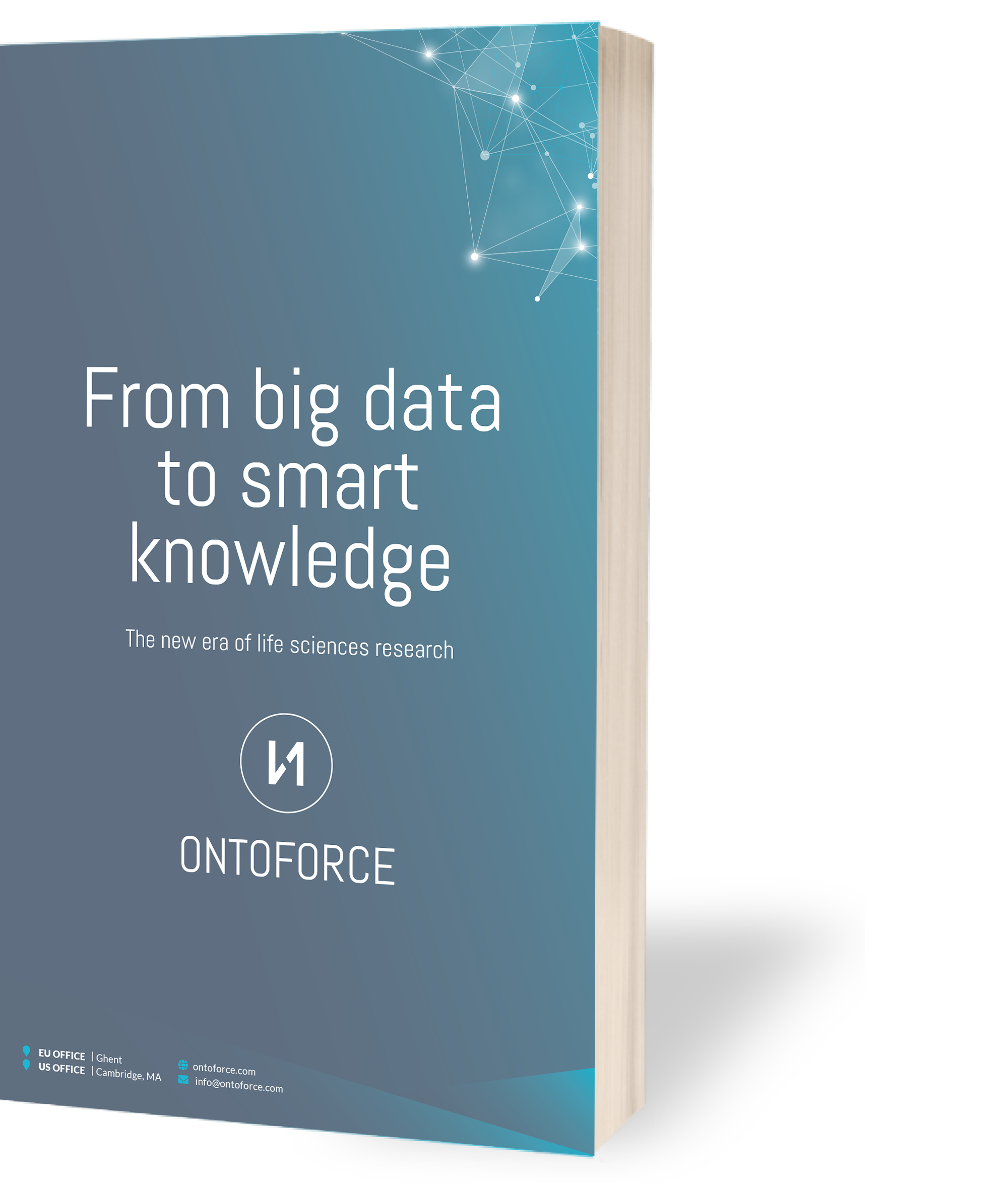 Whitepaper 3D cover - big data smart knowledge