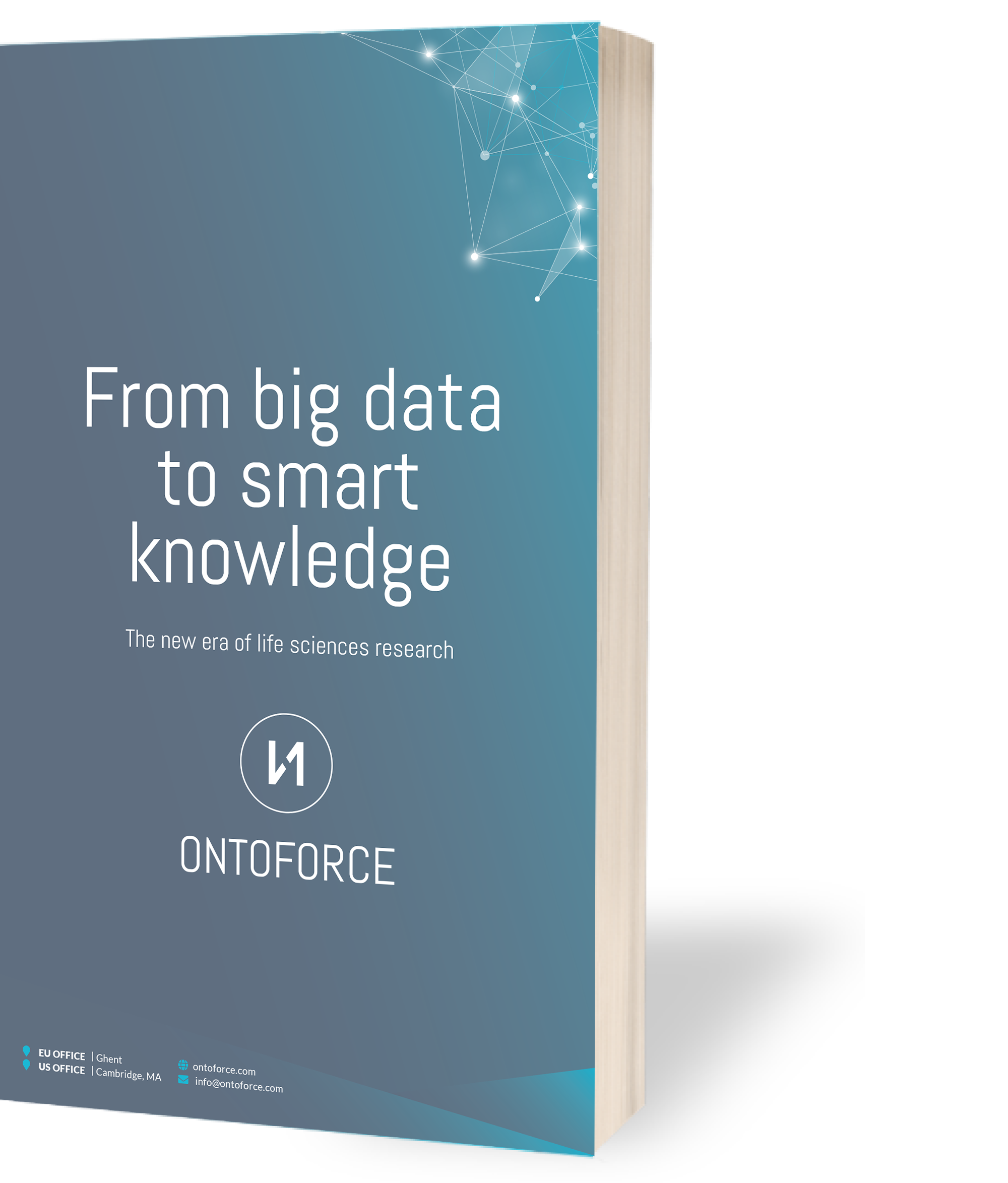 Whitepaper 3D cover - big data smart knowledge