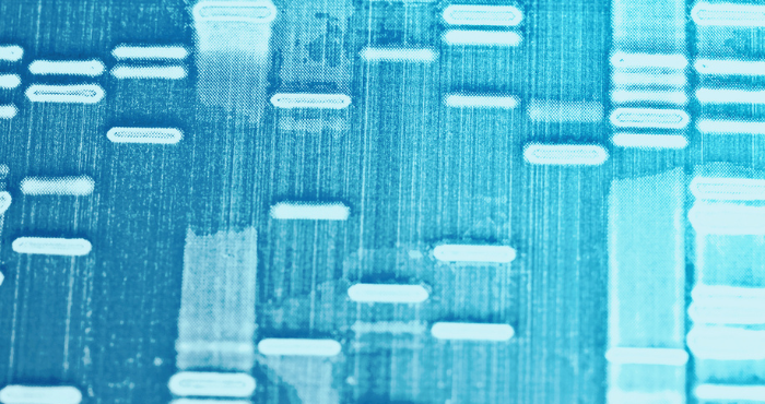 FAIR Data_ Transforming the life sciences industry with the FAIR data principles